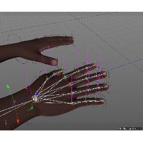 Fully Rigged Hands